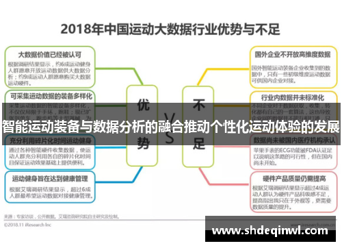 智能运动装备与数据分析的融合推动个性化运动体验的发展
